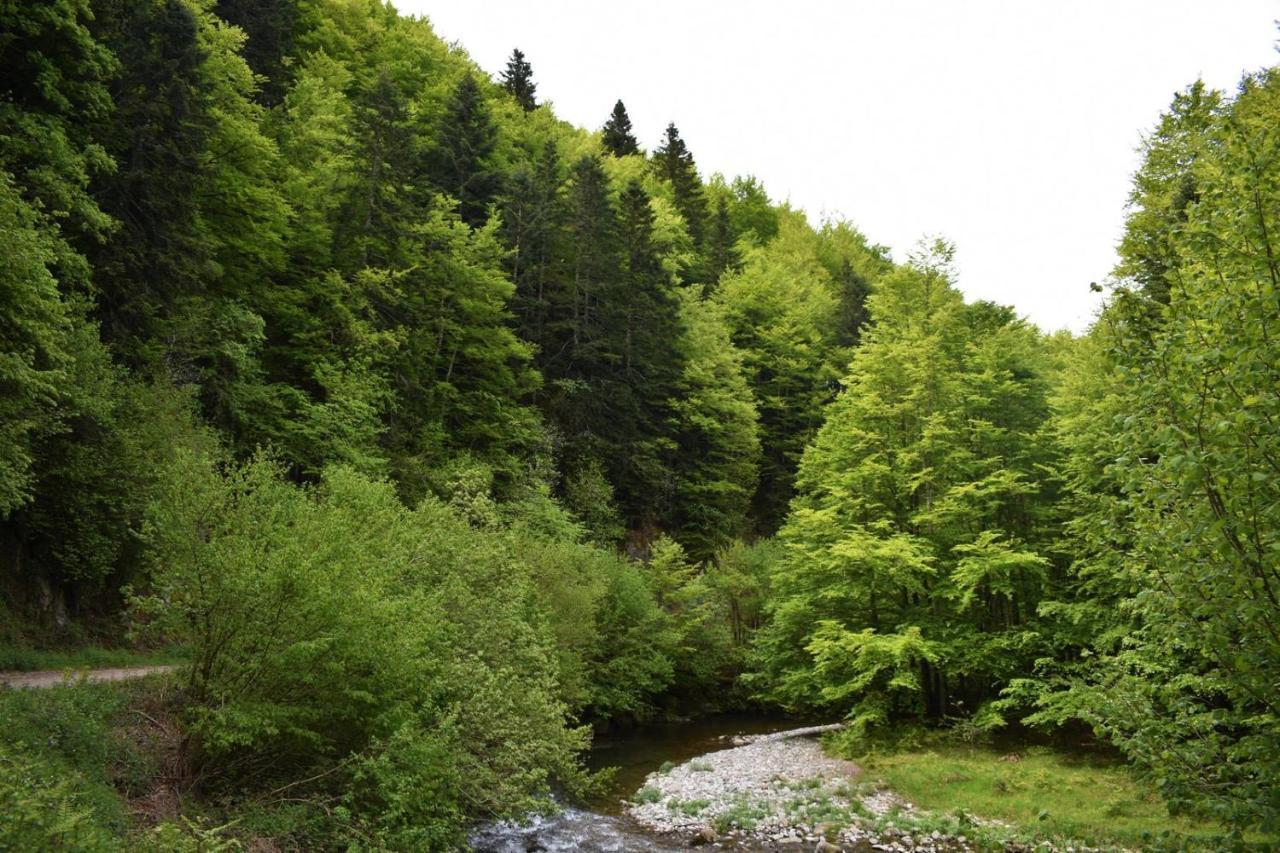 Xandua Etxea - Selva De Irati - Villa Izalzu Exterior foto